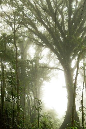 Par oÃ¹ passent les Ã¢mes...
