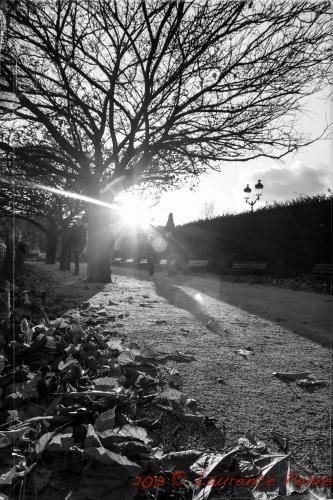 En plein dans l'oeil